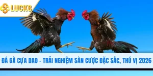 Đá Gà Cựa Dao - Trải Nghiệm Sàn Cược Đặc Sắc, Thú Vị 2026